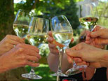 Explore Provence Book Now